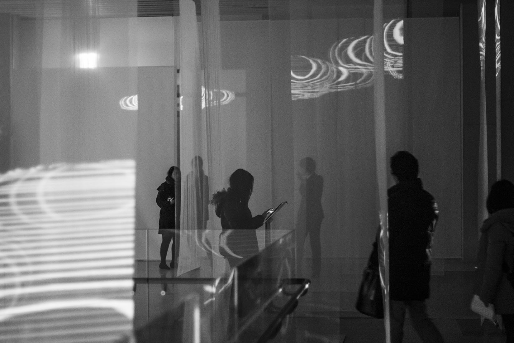 Silhouettes, musée, art contemporain, projection 3d, espace, lumières, installation