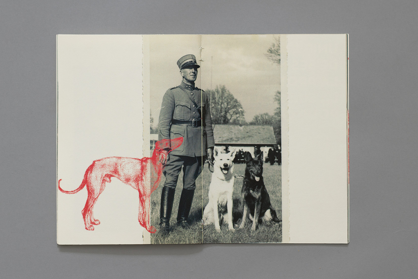Manuel du parfait petit soldat, Soldat et ses chiens, carte postale suisse, armée