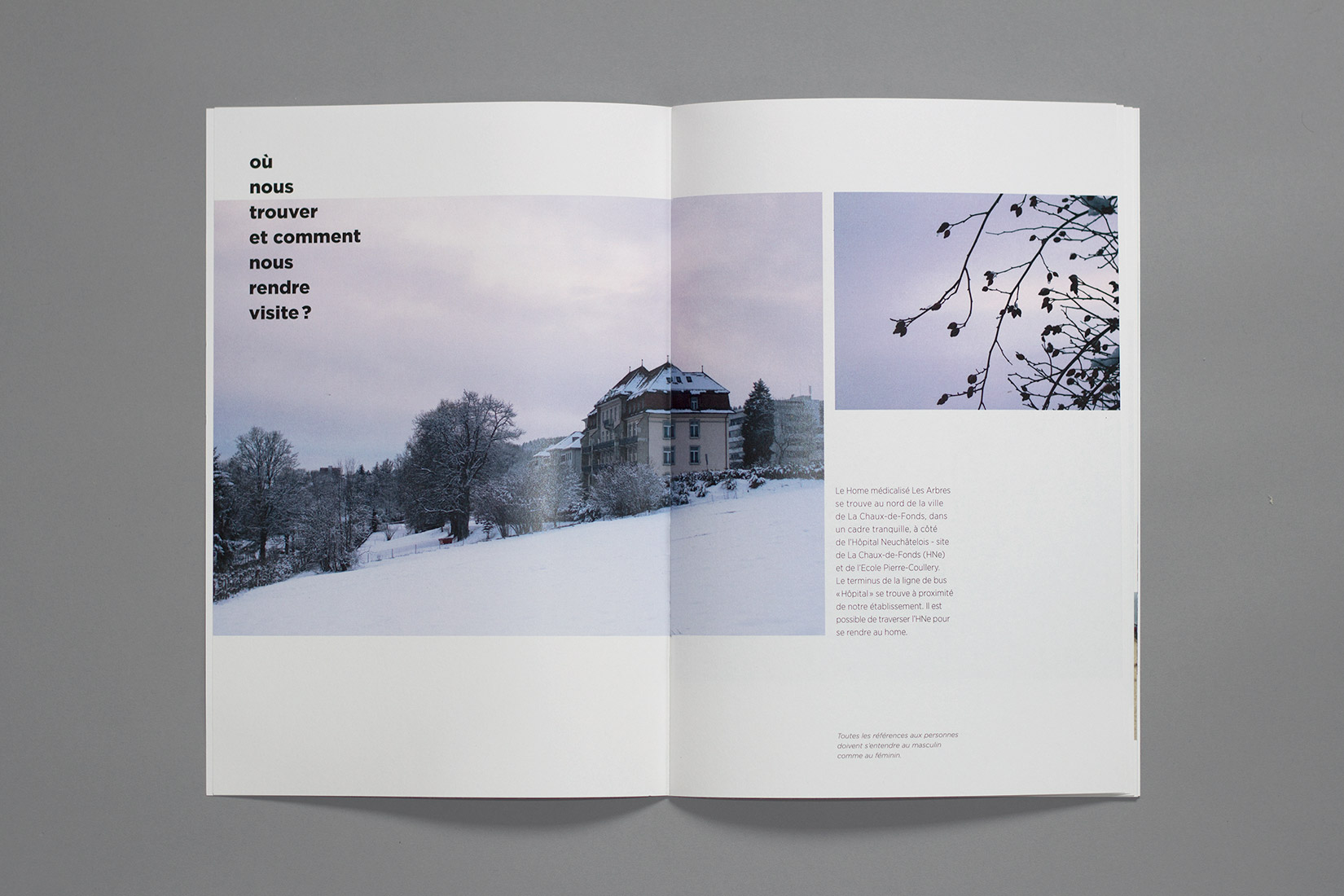 Home médicalisé Les Arbres, brochure, photographie, bâtiment, hiver, neige, bourgeons