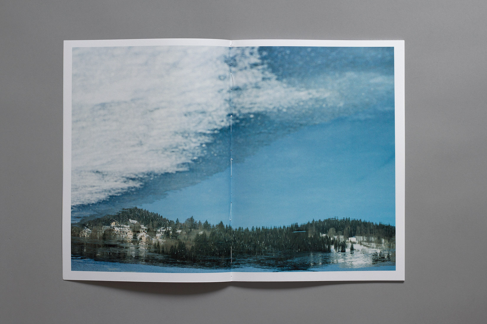 Lac des brenets - Reflet, glace, hiver, livre, photographie