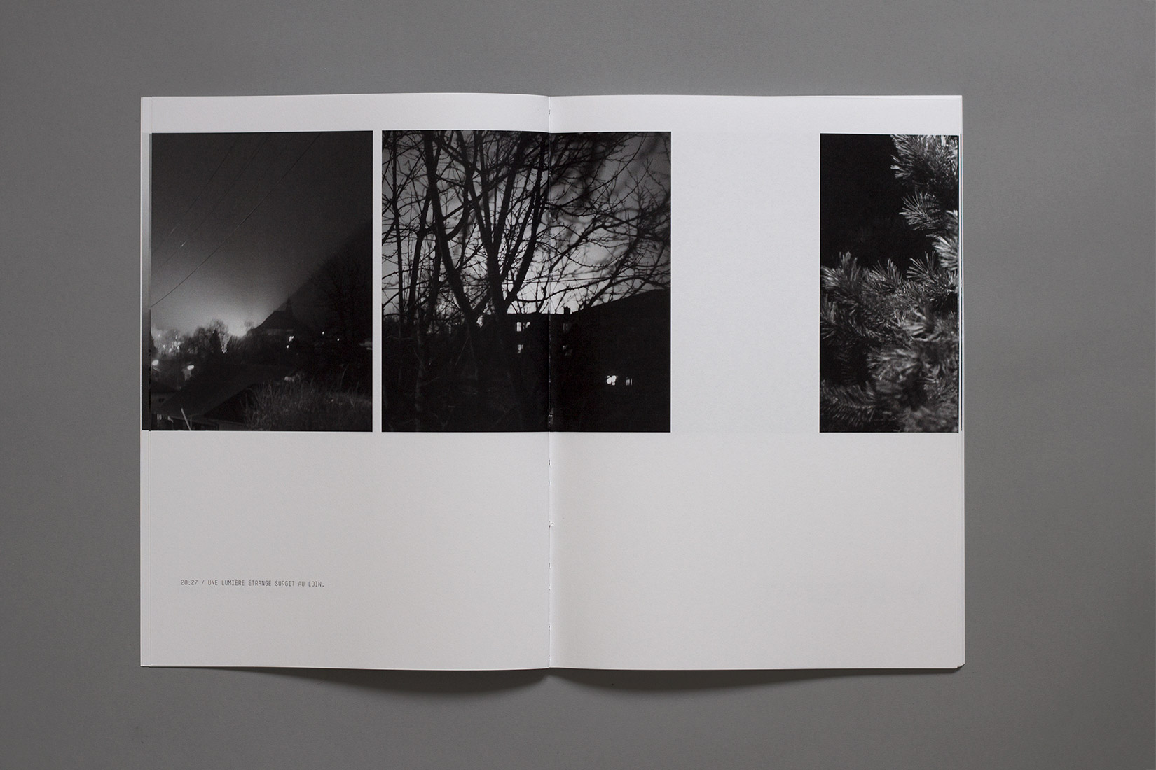 Courtelary, nuit, lumière, branches, livre, photographie, Une lumière étrange surgit au loin.
