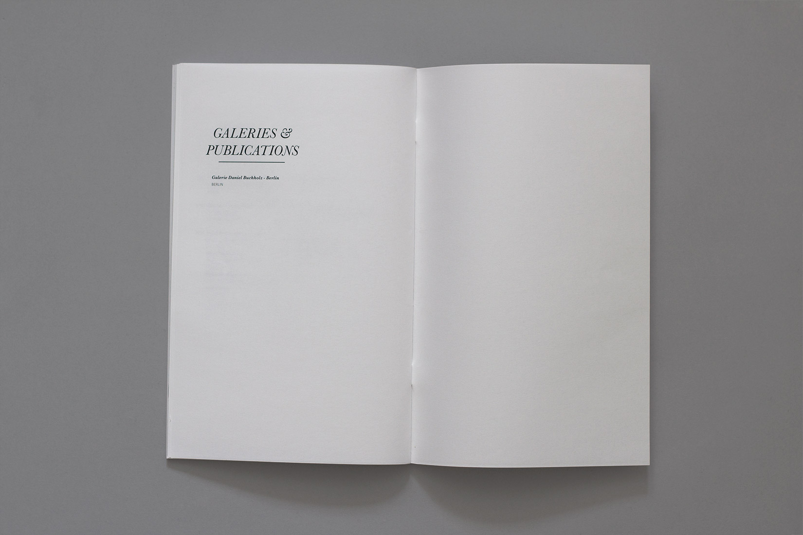 Livre d'artiste, Nairy Baghramian, Galeries & publications