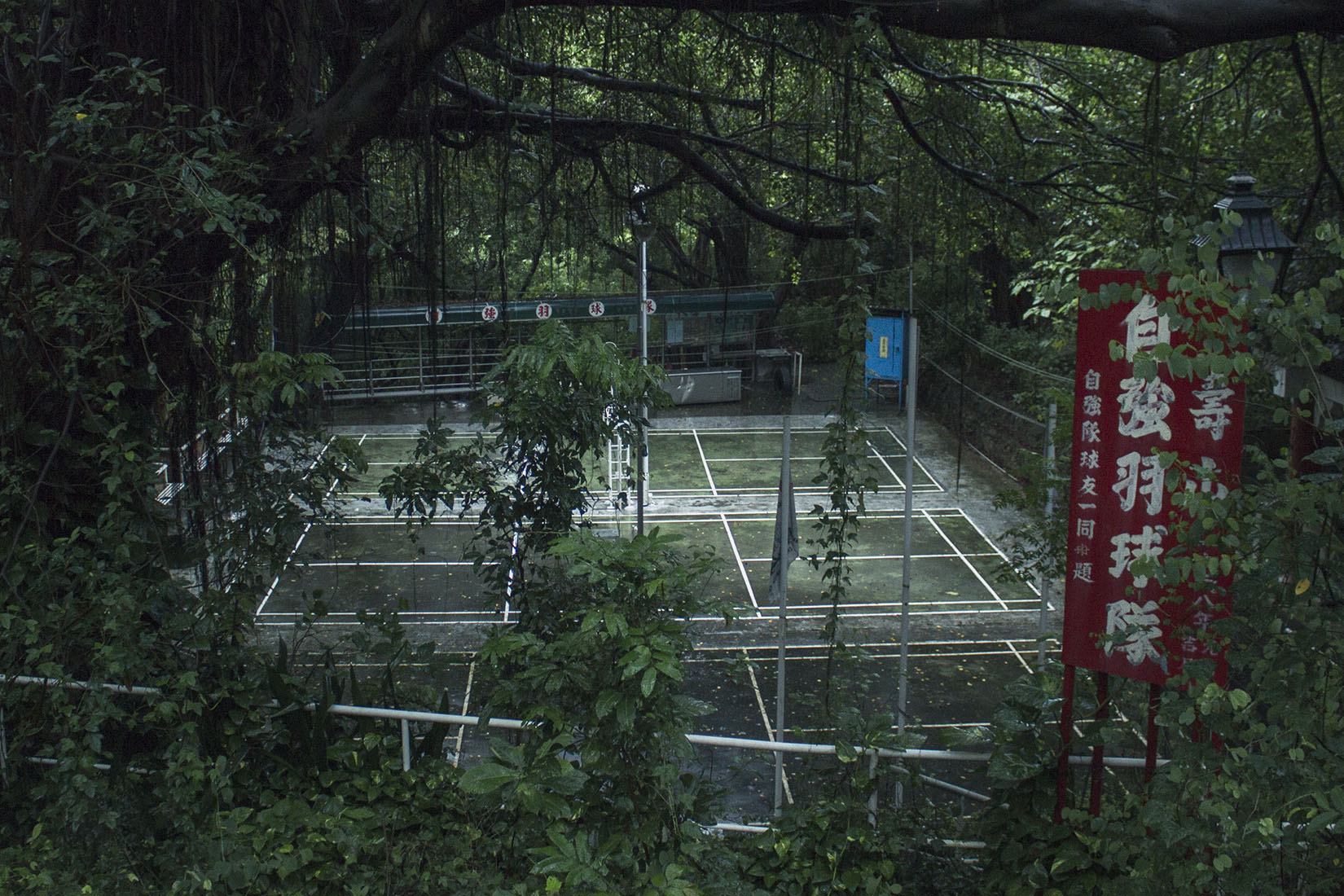 Taiwan, voyage, Kaohsiung, terrain de tennis, jungle, nature