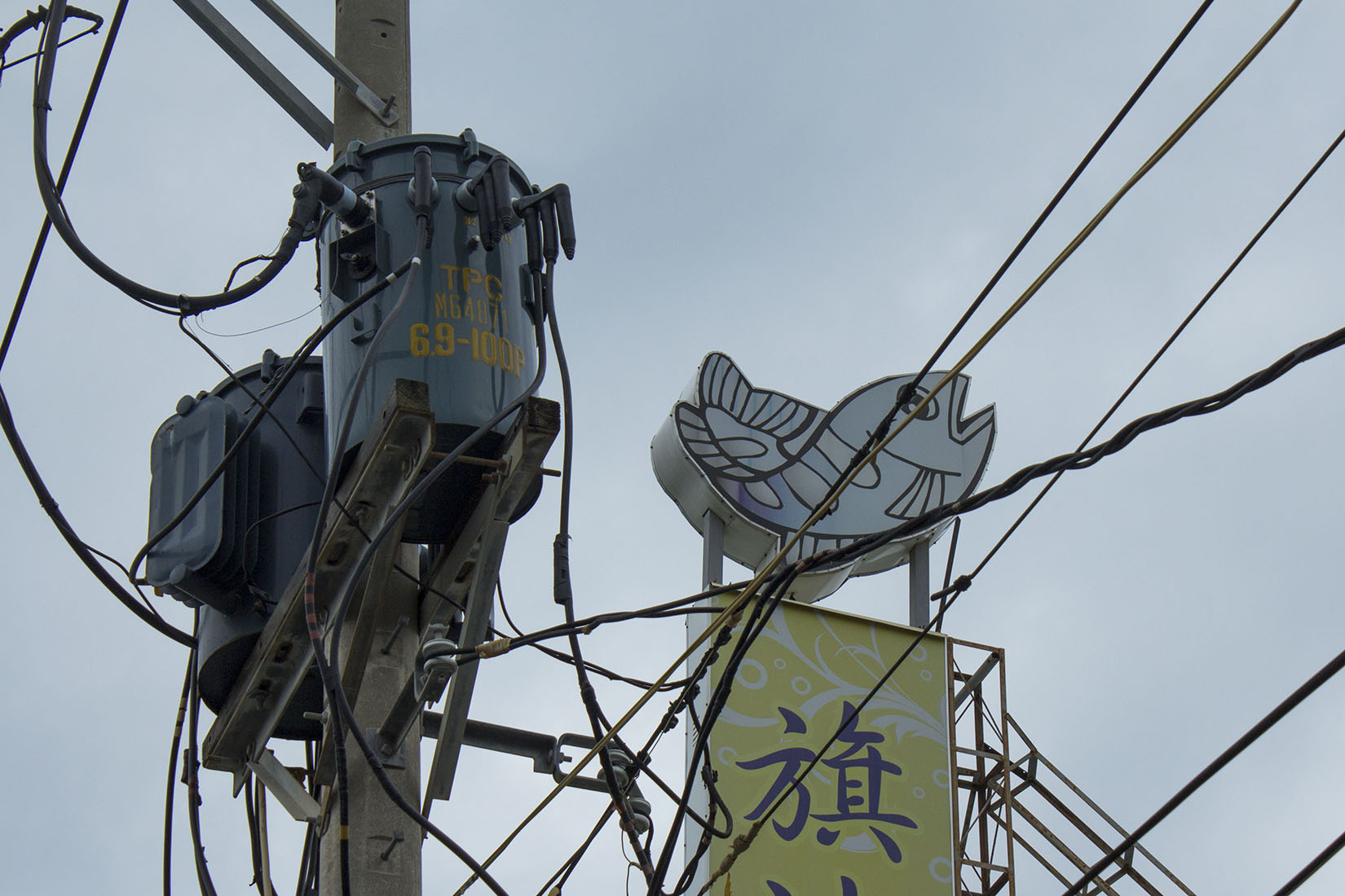 Taiwan, travel, Kaohsiung, Qijin district, fish